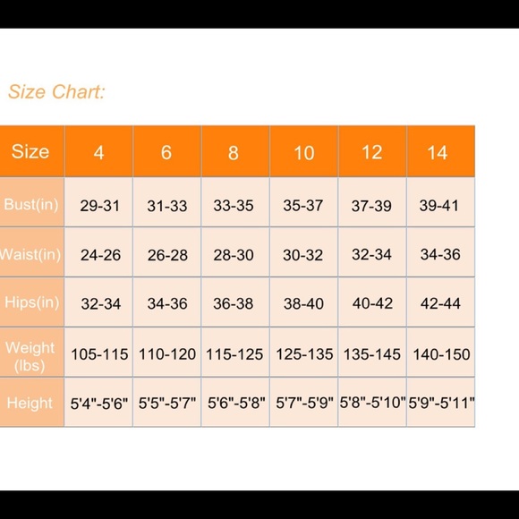 NWT Lemorecn Back Zip Shorty Diving Wetsuit Size 8 - Picture 3 of 10